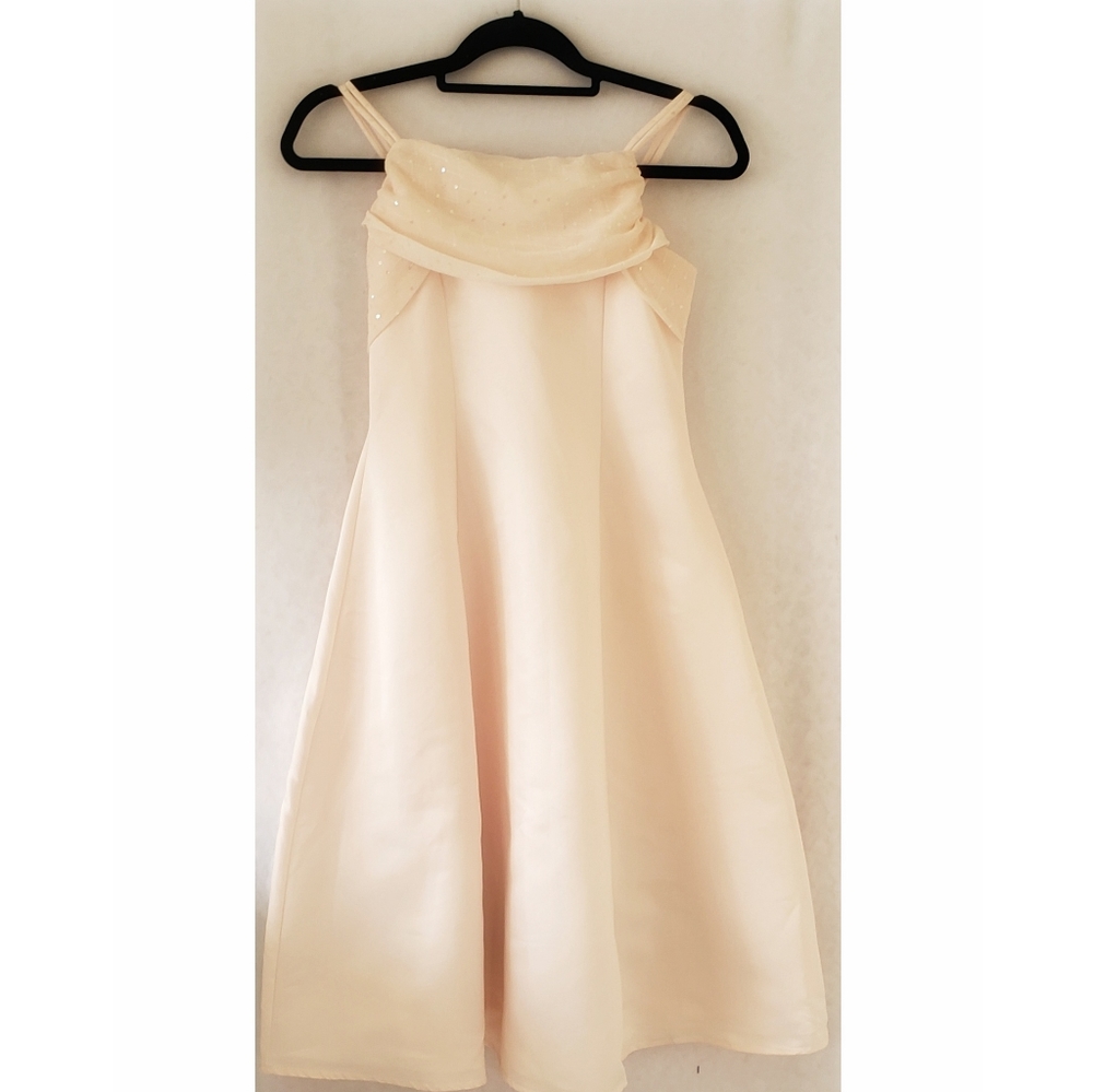 Cinderella Dress
